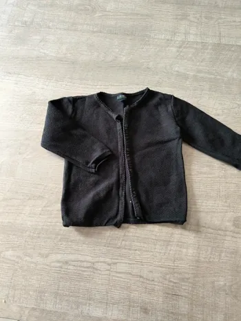 Vestes