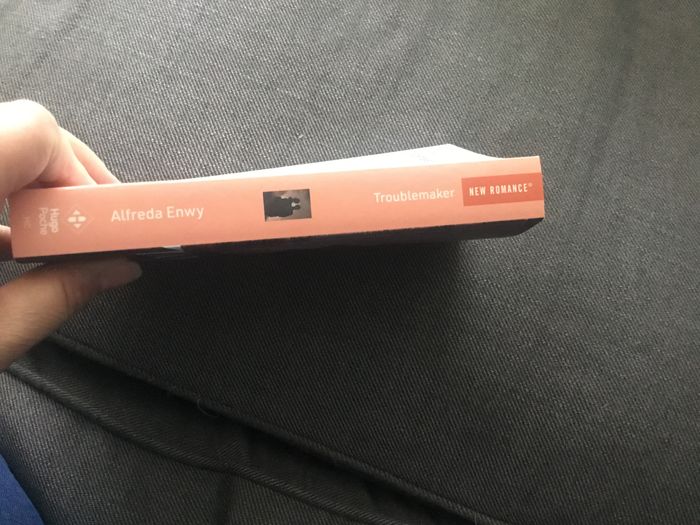 Livre trouble maker - photo numéro 3
