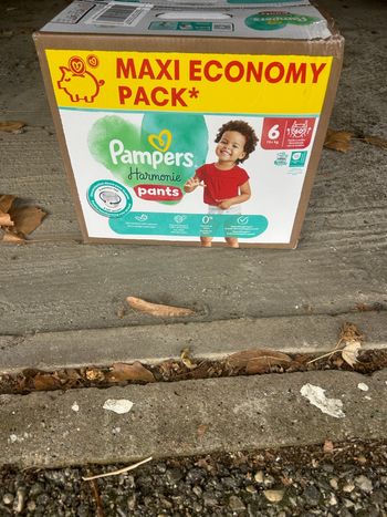 Pampers harmonie pants t6