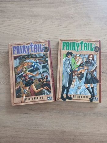 Lot de 2 mangas
