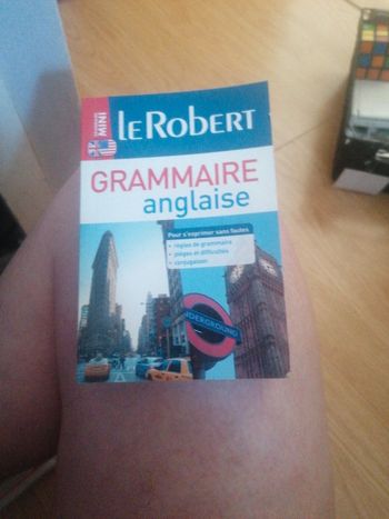 Mni Robert d anglais