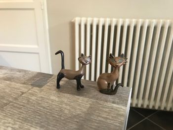 Lot très rare chat siamois la belle et le clochard