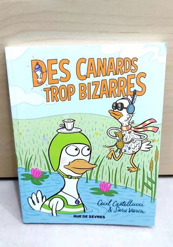 🌺 Livre (école des loisirs) : Des canards trop bizarres