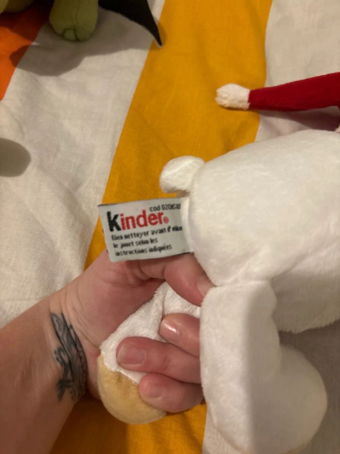 Ours polaire - photo numéro 3