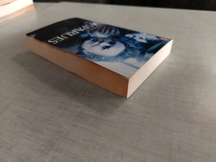 Livre les disparues - photo numéro 2