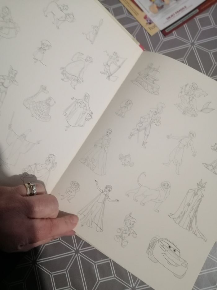 Livre disney - photo numéro 2