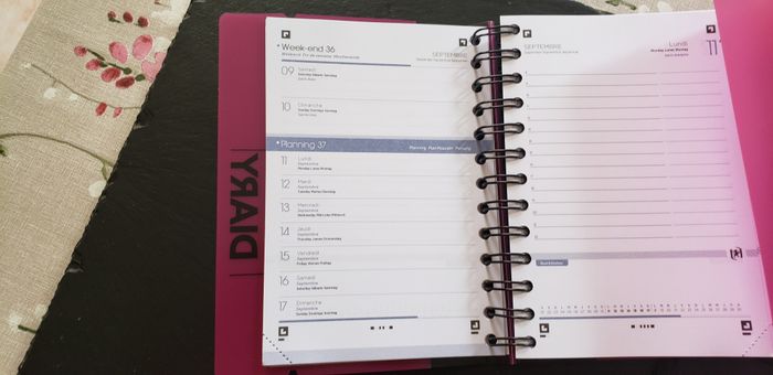 Lot de 2 agendas Diary 2023/2024 - photo numéro 6