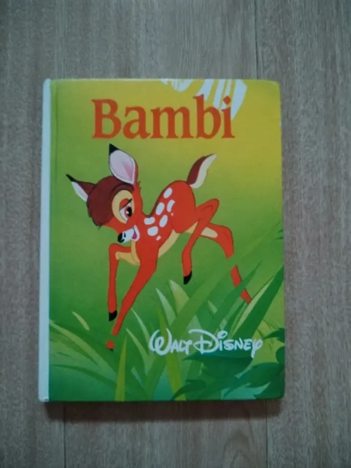Lot gros livres Disney - photo numéro 5