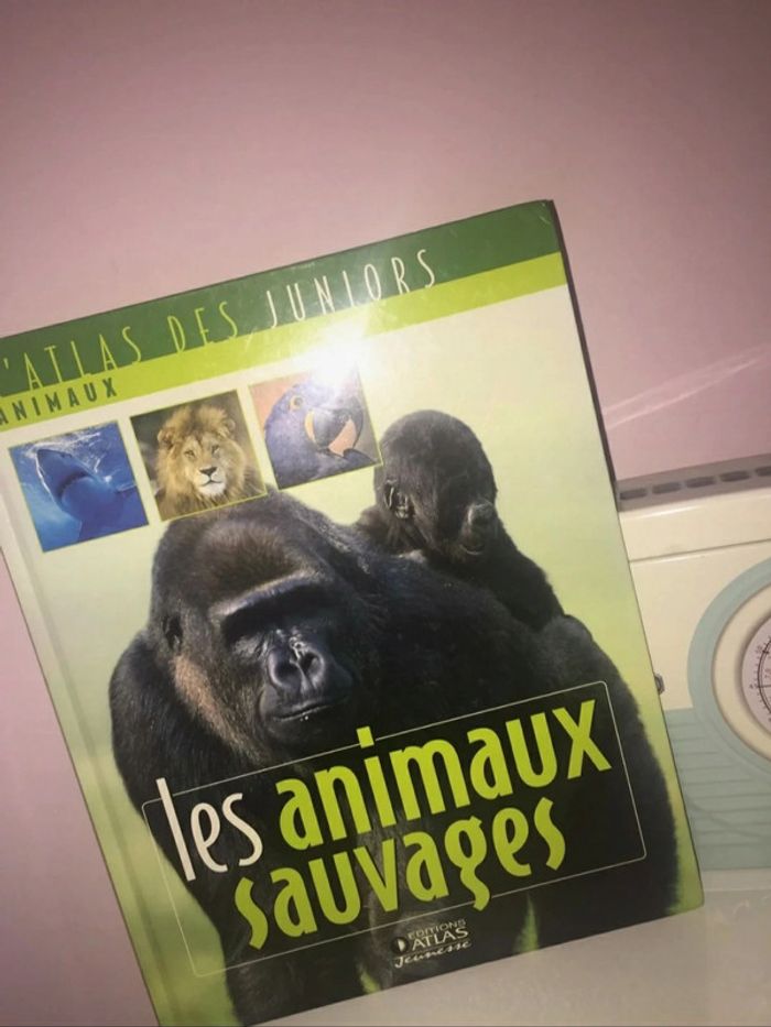 Livre 📖 les animaux sauvages Atlas des junirs 5€ - photo numéro 2