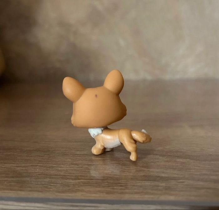 Petshop Chien #183 - photo numéro 3