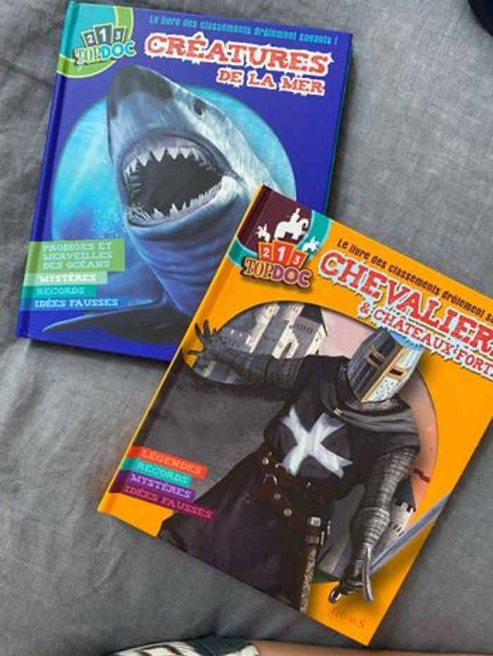 Lot de 2 livres 123 Topdoc Fleurus