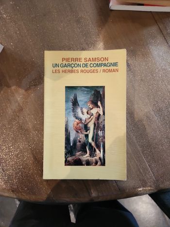 Livre : Un garçon de compagnie