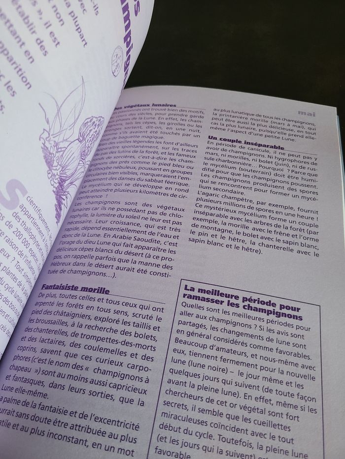 La lune - photo numéro 2