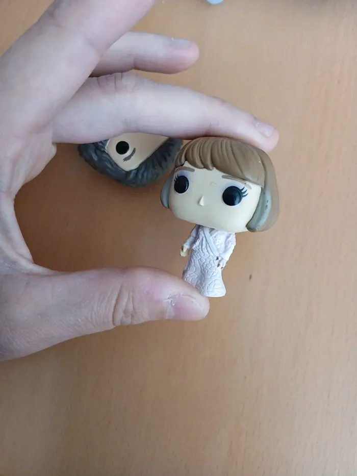 Hagrid et mme maxime mini pop - photo numéro 5