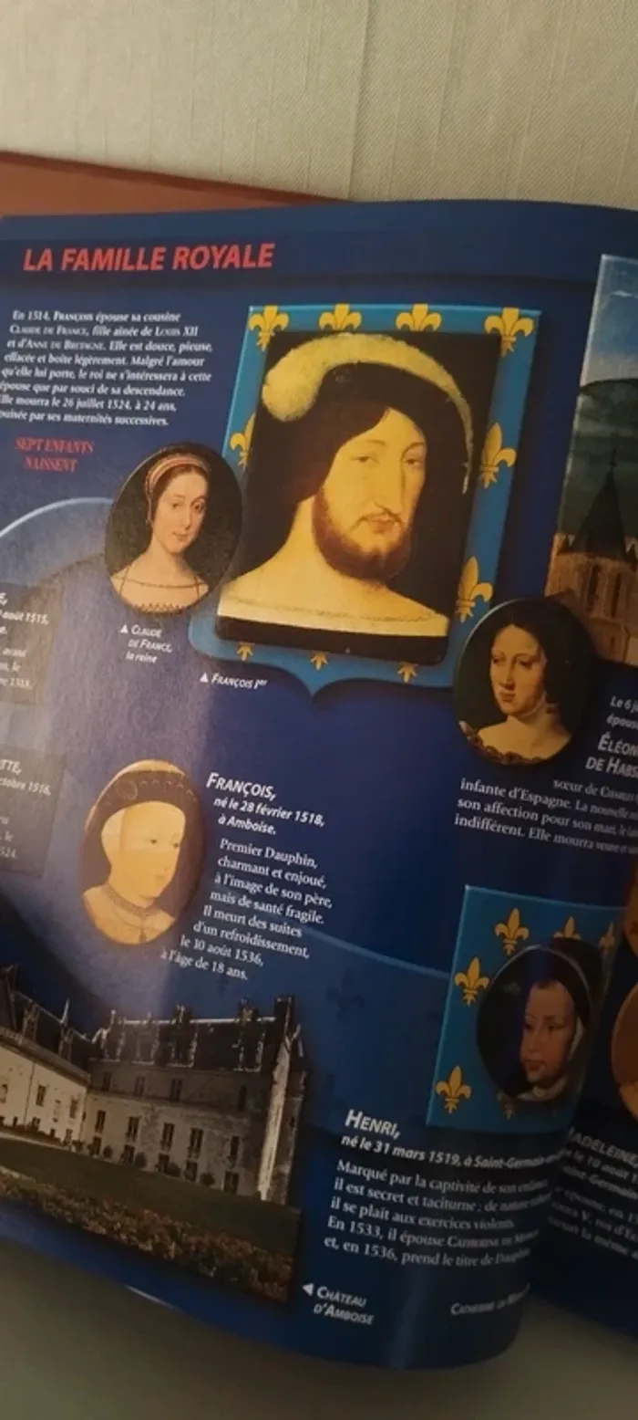 François 1er le roi chevalier - photo numéro 8