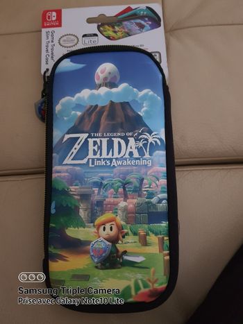 Pochette Nintendo Switch