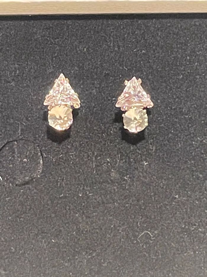 Puces d'oreille - photo numéro 2