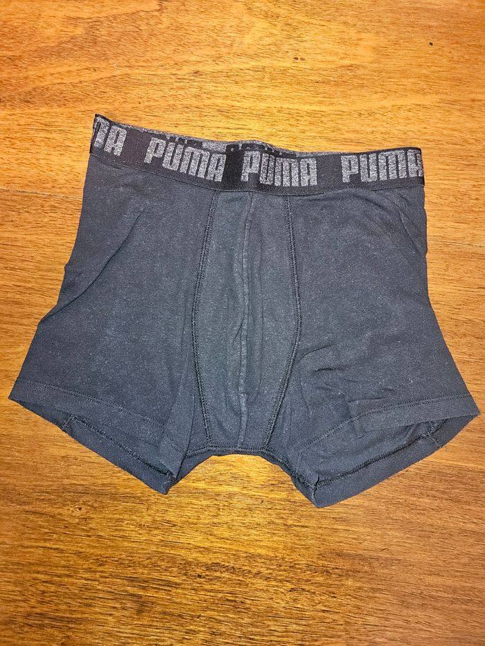 4 Boxer puma - photo numéro 3