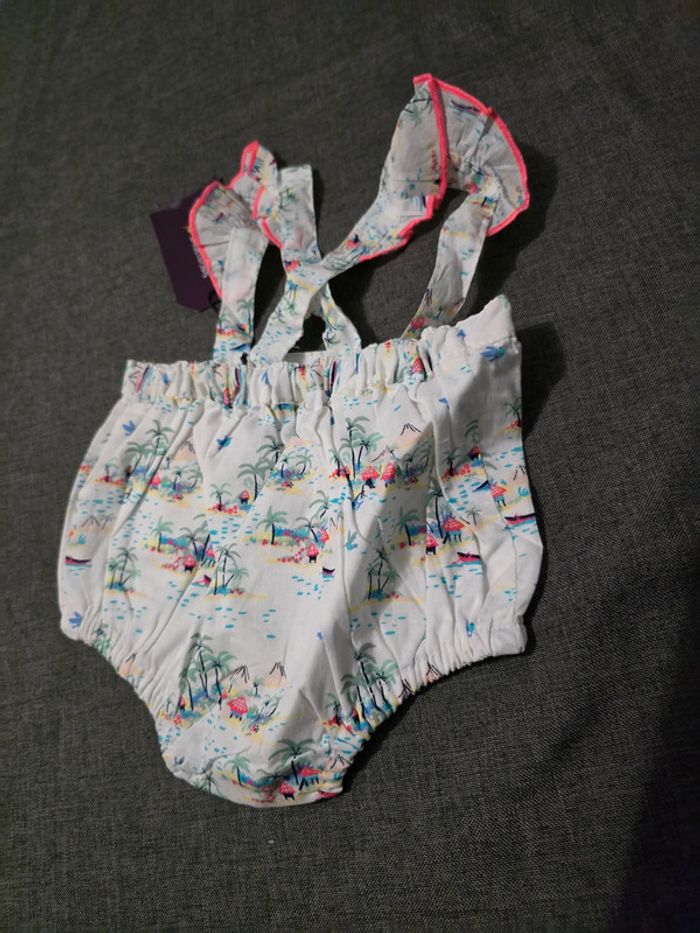 Bloomer - Sergent Major - 3M/59cm - photo numéro 5