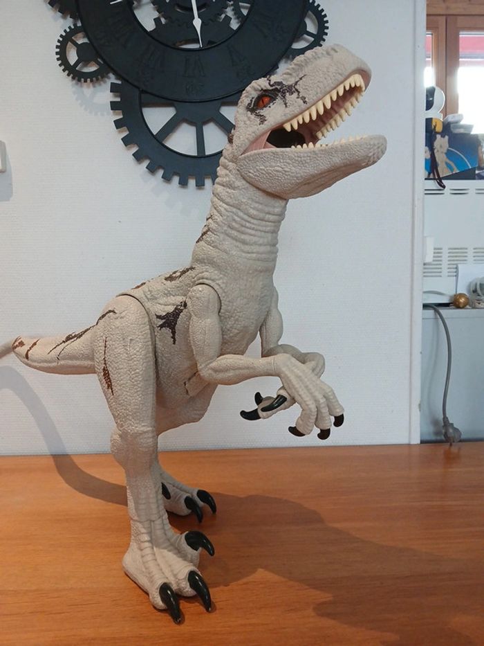 Jurassic world super colossal Atrociraptor - photo numéro 11