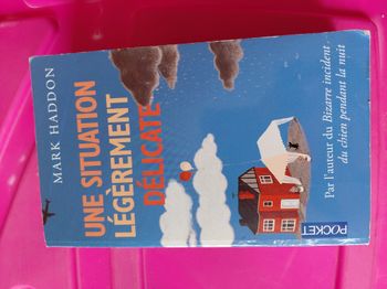 Une situation légèrement délicate Marc Haddon 