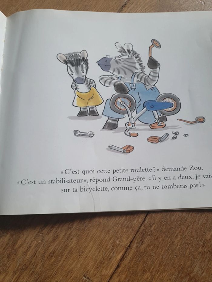 Livre zou à velo - photo numéro 6