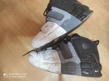Basket air