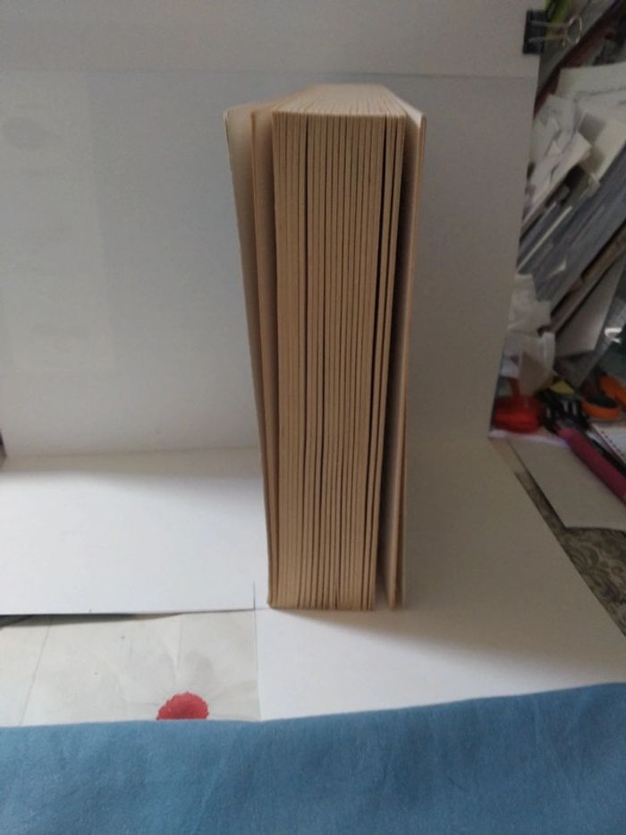 Mortel impasse - photo numéro 3