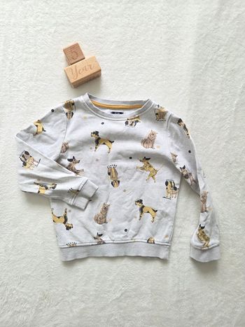 Pull chiens 