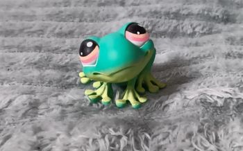 Petshop grenouille  236