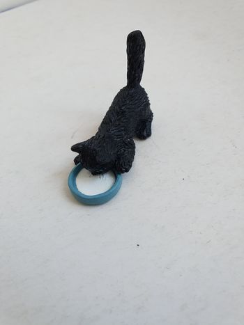 Chat buvant son lait