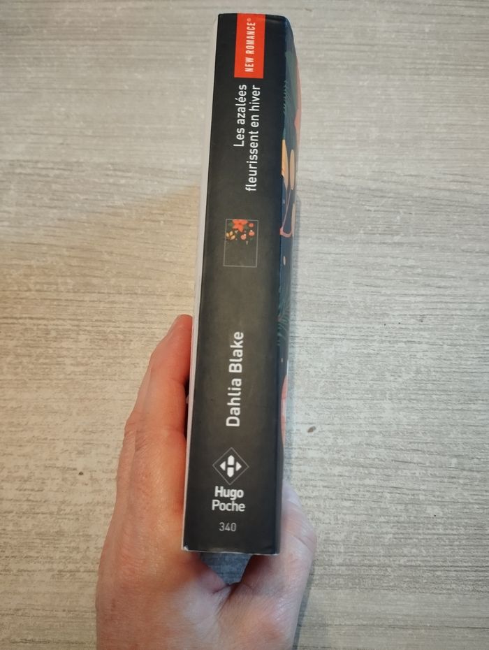 Livre new romance - photo numéro 3