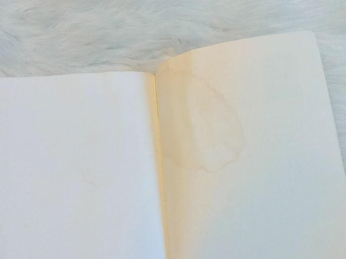 Livre : Le Pèlerin de Compostelle- Paulo Coelho 🖤 - photo numéro 3