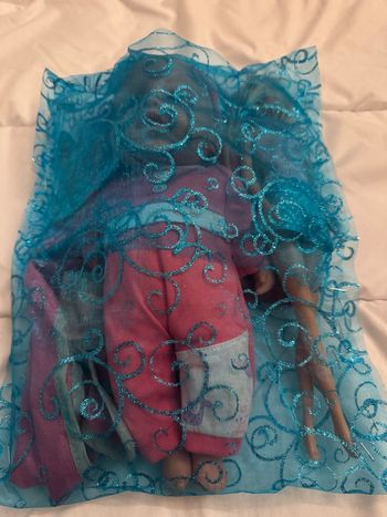 Poupée et ses accessoires 