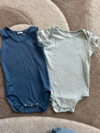Bodies