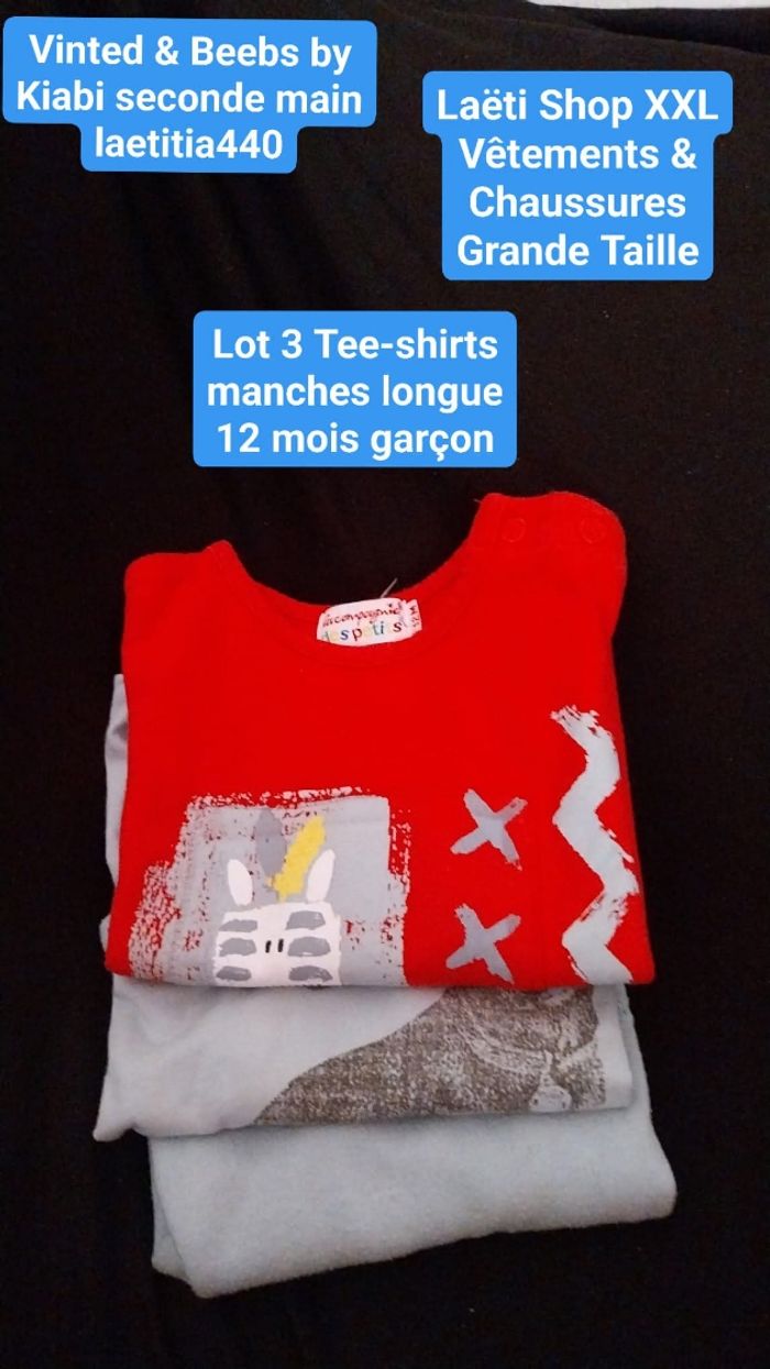 Lot 3 Tee-shirts M.longue 12 mois garçon