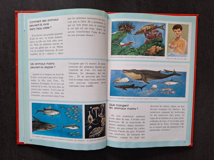 Lot de 2 livres questions/réponses sur les animaux en bon état - photo numéro 4