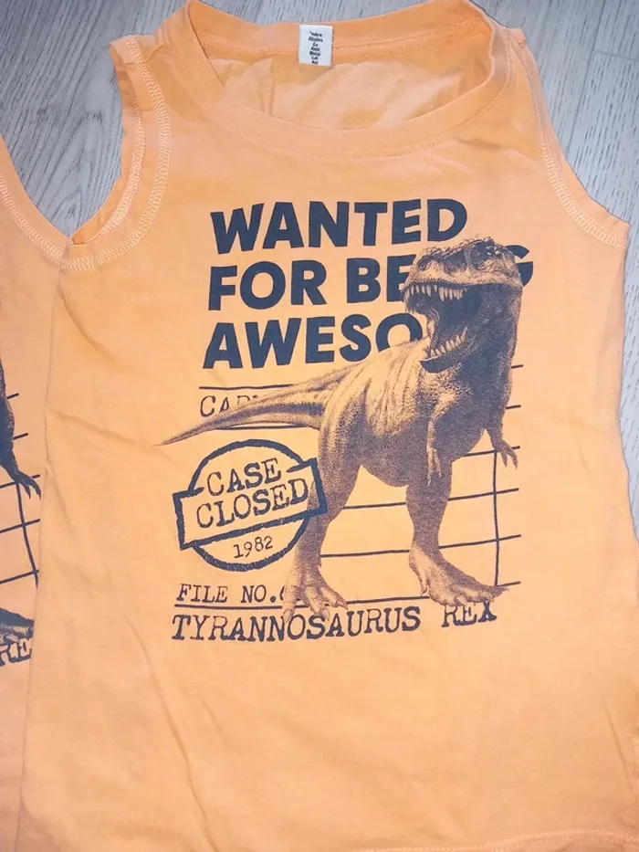 Lot de 2 t-shirts tyrannosaure - photo numéro 3