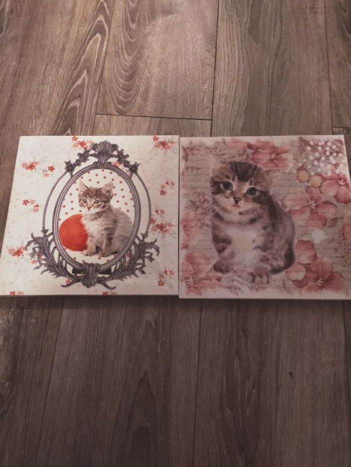 Cadres décoratifs motif chat