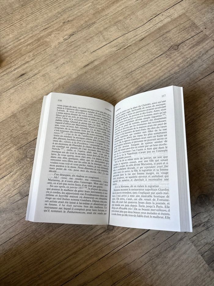 Le chef-d’œuvre inconnu - Balzac - photo numéro 4