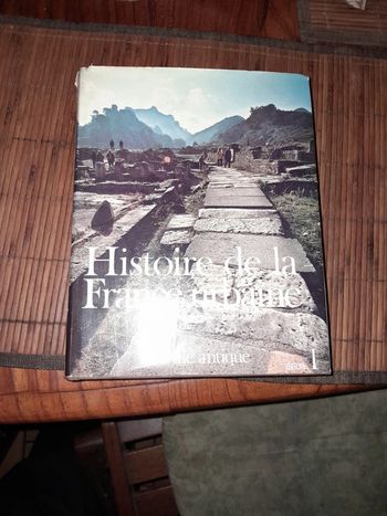 Histoire de la France urbaine la ville antique