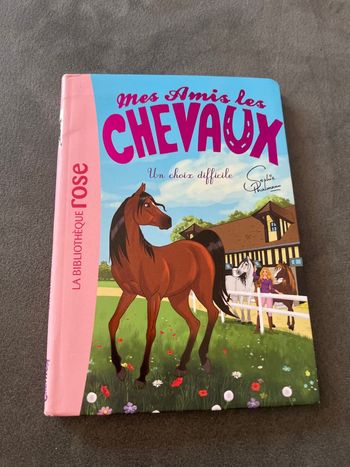 Livre bibliothèque rose mes amis les chevaux tome 3