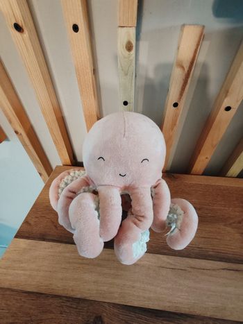 Pieuvre poulpe little dutch rose ocean