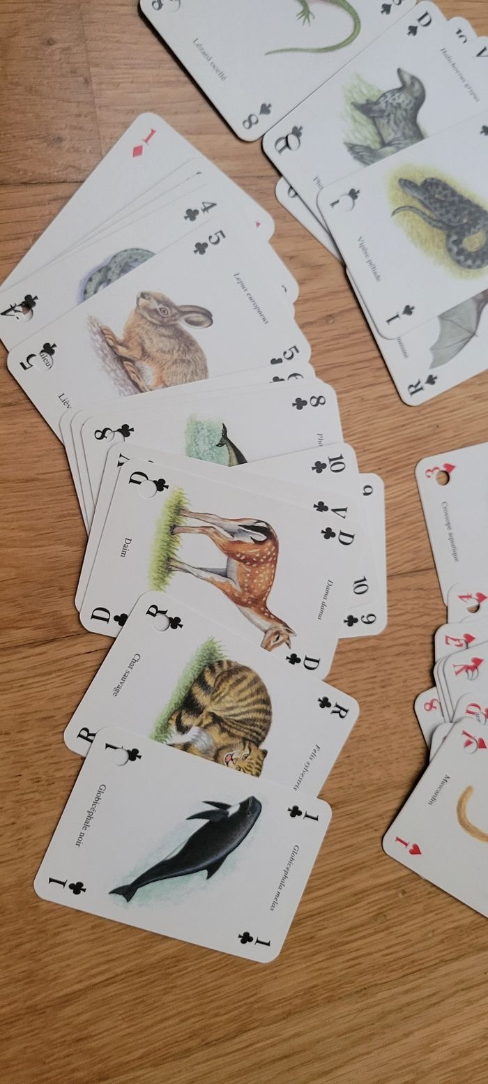 Jeu de 52 cartes animaux - photo numéro 4