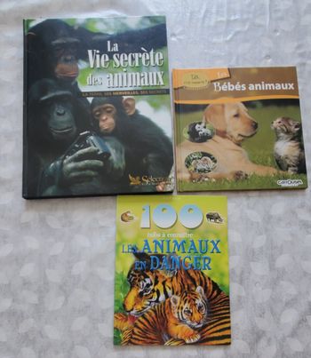 Lot 3 livres enfant sur les animaux