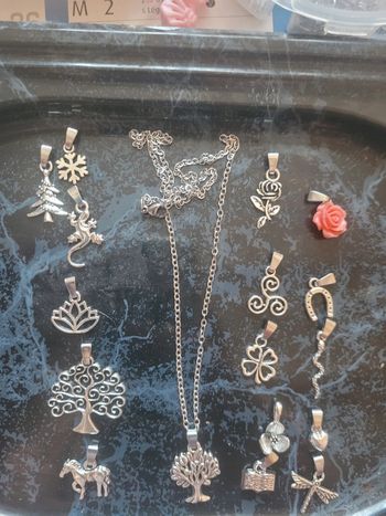 Chaine en acier inoxydable avec son pendentif