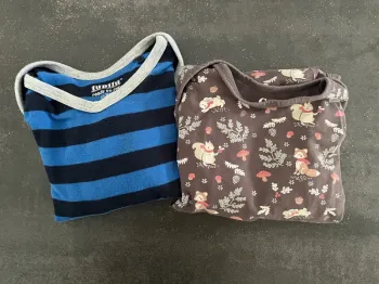 Lot de 2 bodies manches longues taille 12-24 mois marque C&A et Lupilu