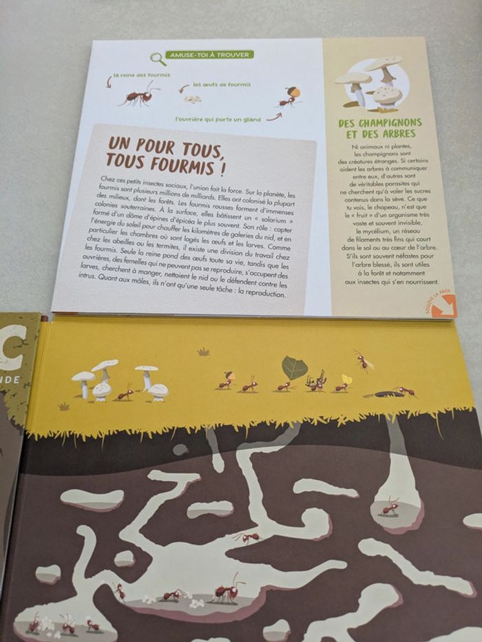 Livre panoramique La forêt - photo numéro 4