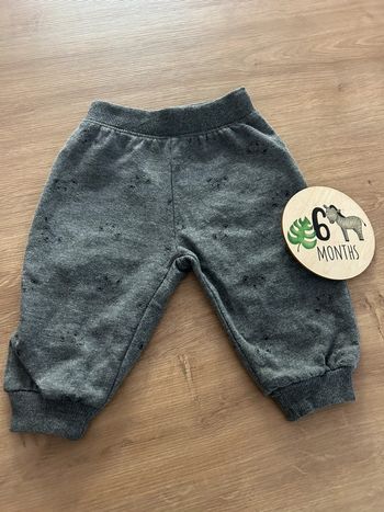 Jogging gris tête animal