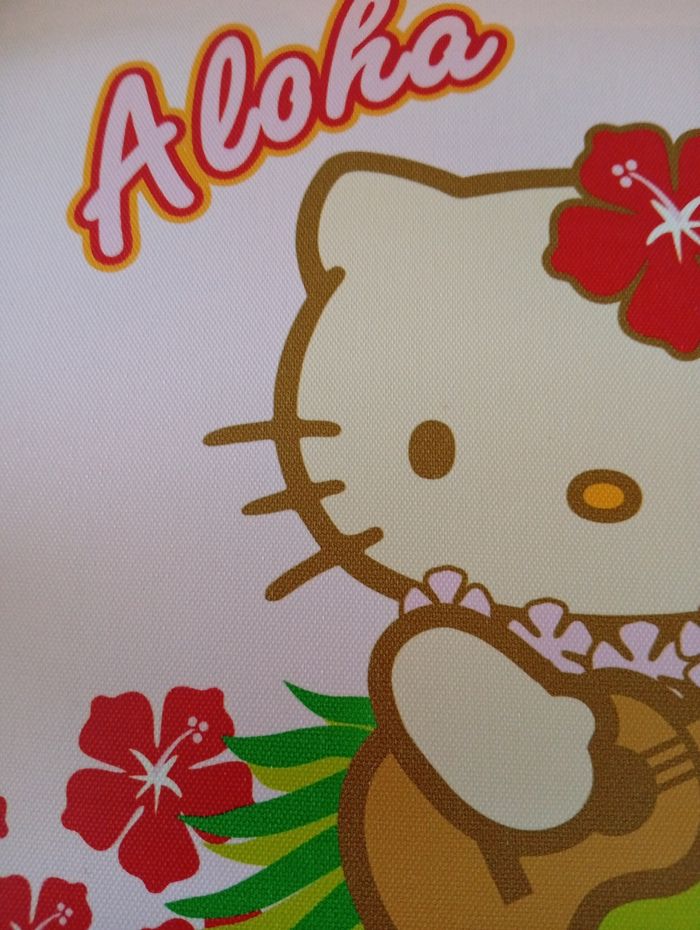 Cadre toile imprimée hello kitty - photo numéro 6